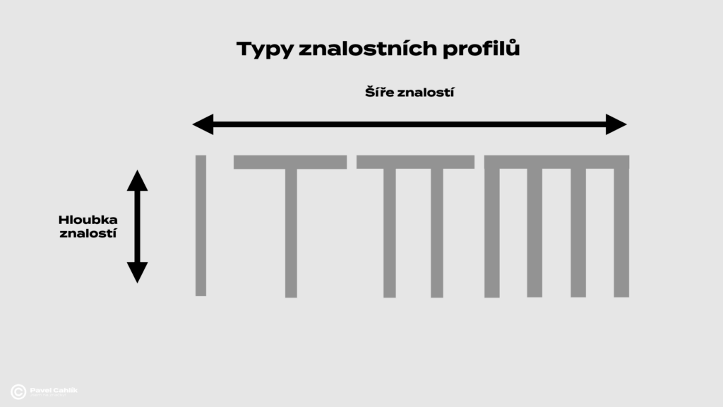 Typy znalostních profilů